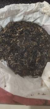 昆明喝茶品茶 第2张