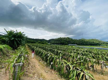 深圳龙岗周边周末公司部门团建拓展千万别去培训基地 第3张