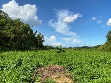 深圳坪山九龙生态园新增越野车活动项目啦 第4张