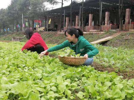 长沙周边好玩的农家乐 公司年会聚餐 特色柴火鸡 第2张