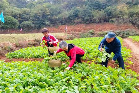 长沙周边春游的好地方 烧烤野炊休闲垂钓 第2张