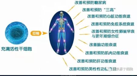 干细胞招商，再生医学，基因检测，大健康招商、招加 第2张