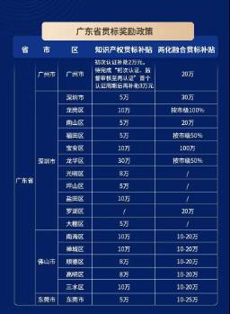 2021年各省市“知识产权贯标”奖励政策 第3张