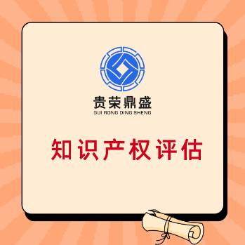南京市专利知识产权评估软著商标评估无形资产评估 第1张