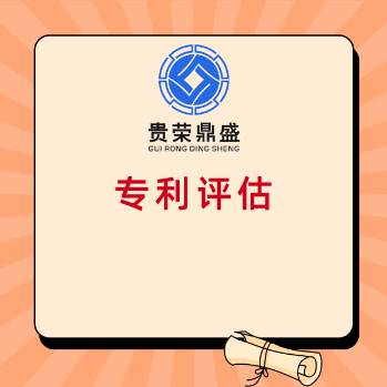 南京市专利知识产权评估软著商标评估无形资产评估 第2张
