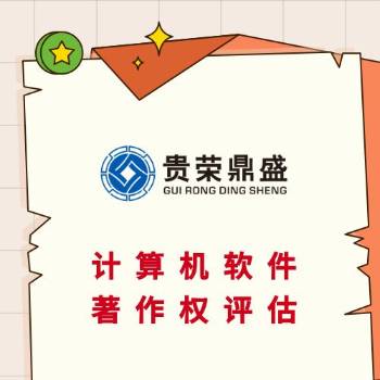 徐州市专利商标出资评估软著版权实缴评估知识产权 第3张