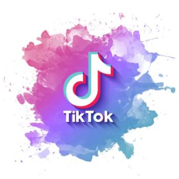 Tik Tok海外公会项目招商 第3张